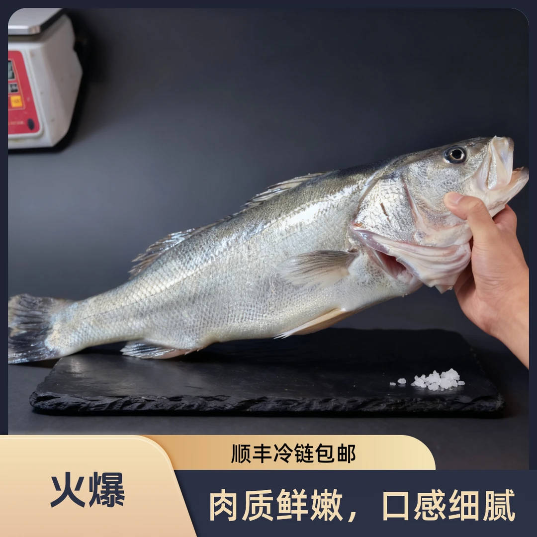 清蒸首选大海鲈鱼 直播现称 鲜嫩多汁宴客佳品 顺丰包邮