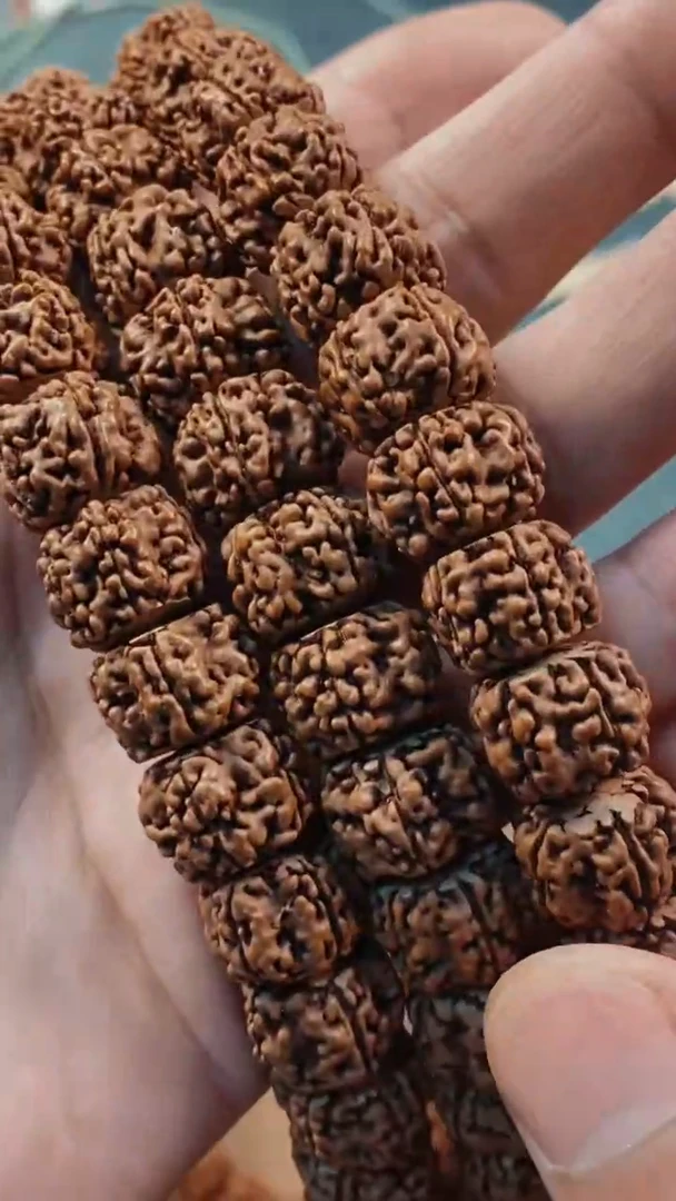 金刚菩提吊坠557盘龙王10-15mm+629手持