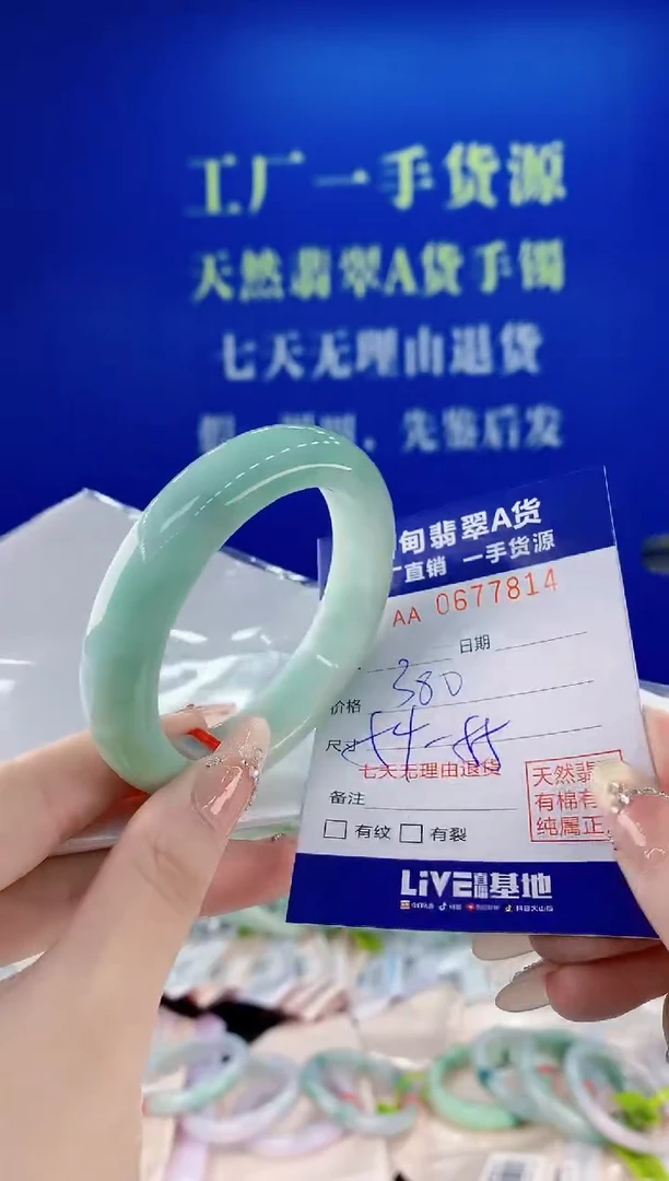 未镶嵌手镯翡翠14