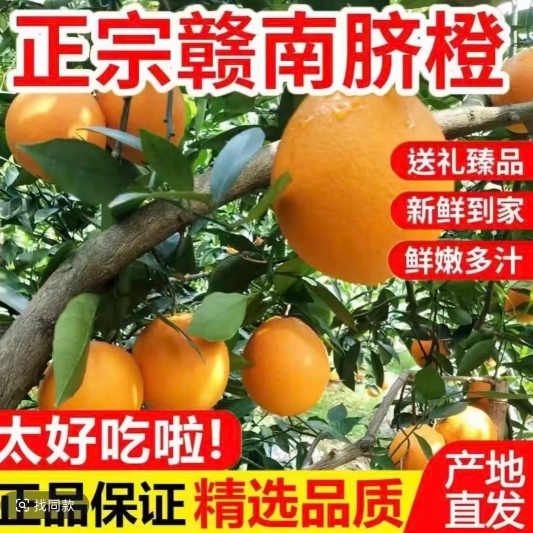 【正宗】赣南脐橙大果江西赣州橙子当季香甜鲜橙新鲜水果批发包邮