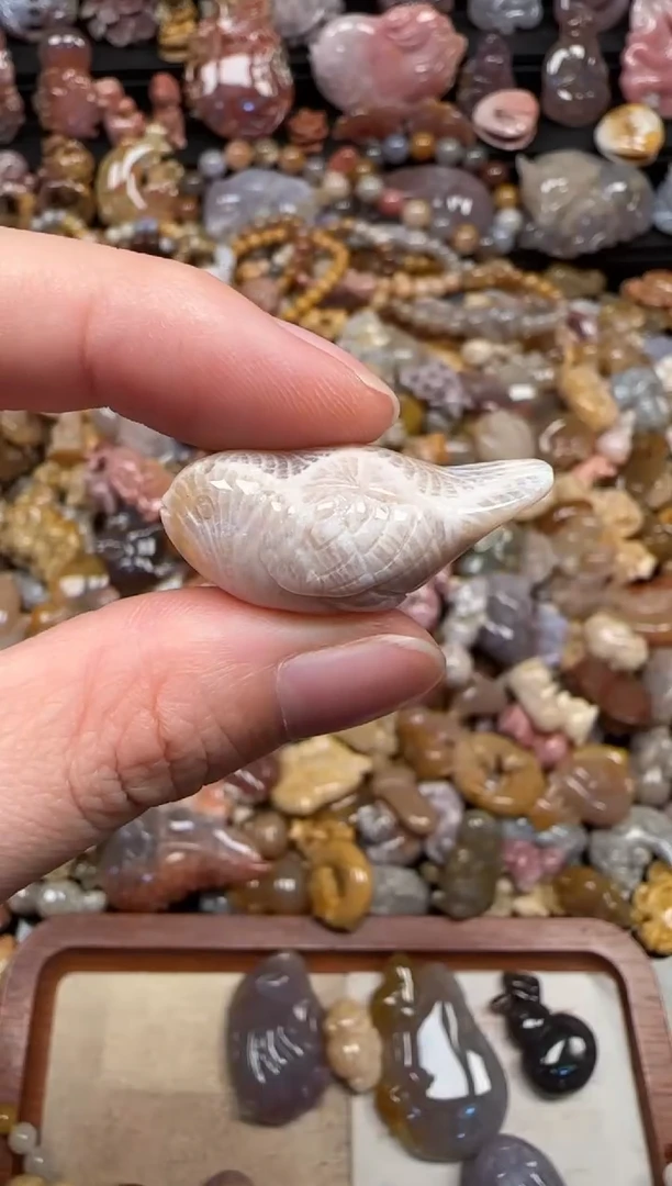 颈饰未镶嵌硅化珊瑚（珊瑚玉）109