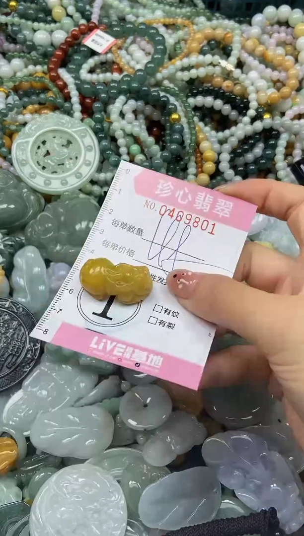 颈饰未镶嵌翡翠闪购0409801