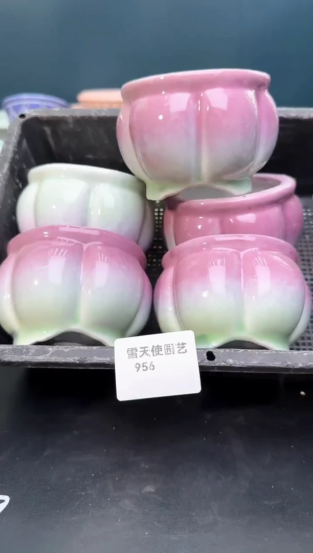9  56小南瓜盆 5 个默认微瑕