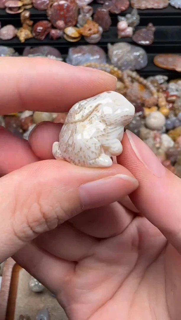 硅化珊瑚（珊瑚玉）未镶嵌颈饰079