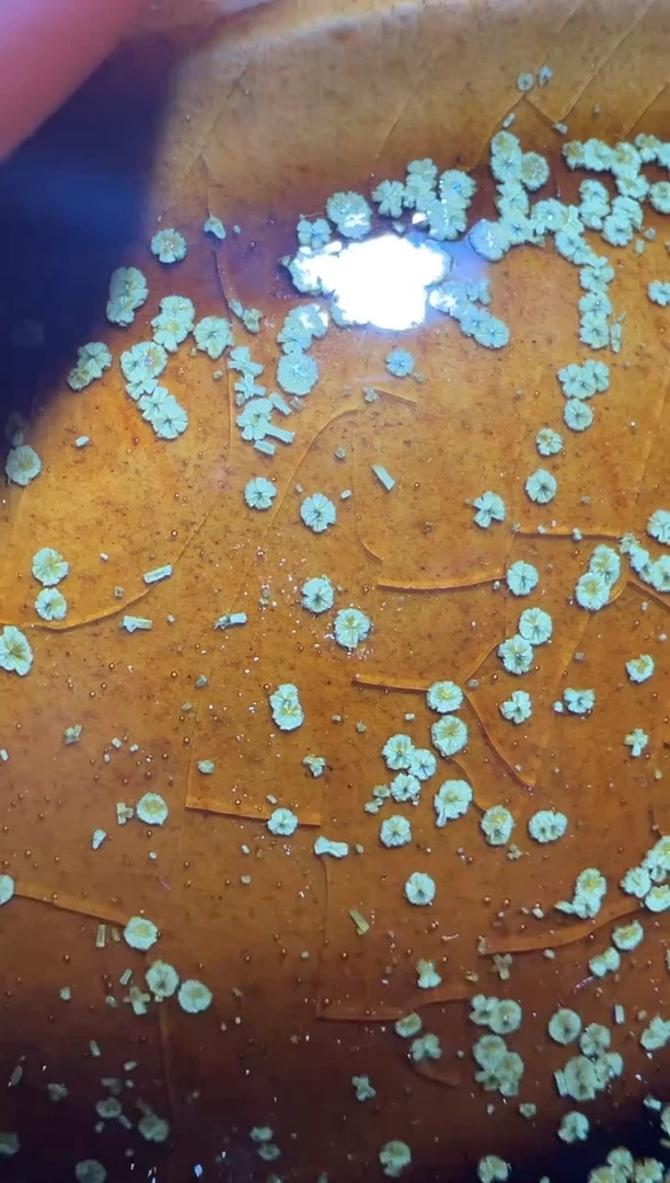 【闪购商品】茶盏63@建窑建盏范大飞