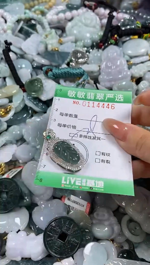 【闪购商品】翡翠颈饰未镶嵌闪购0114446多样性发其一