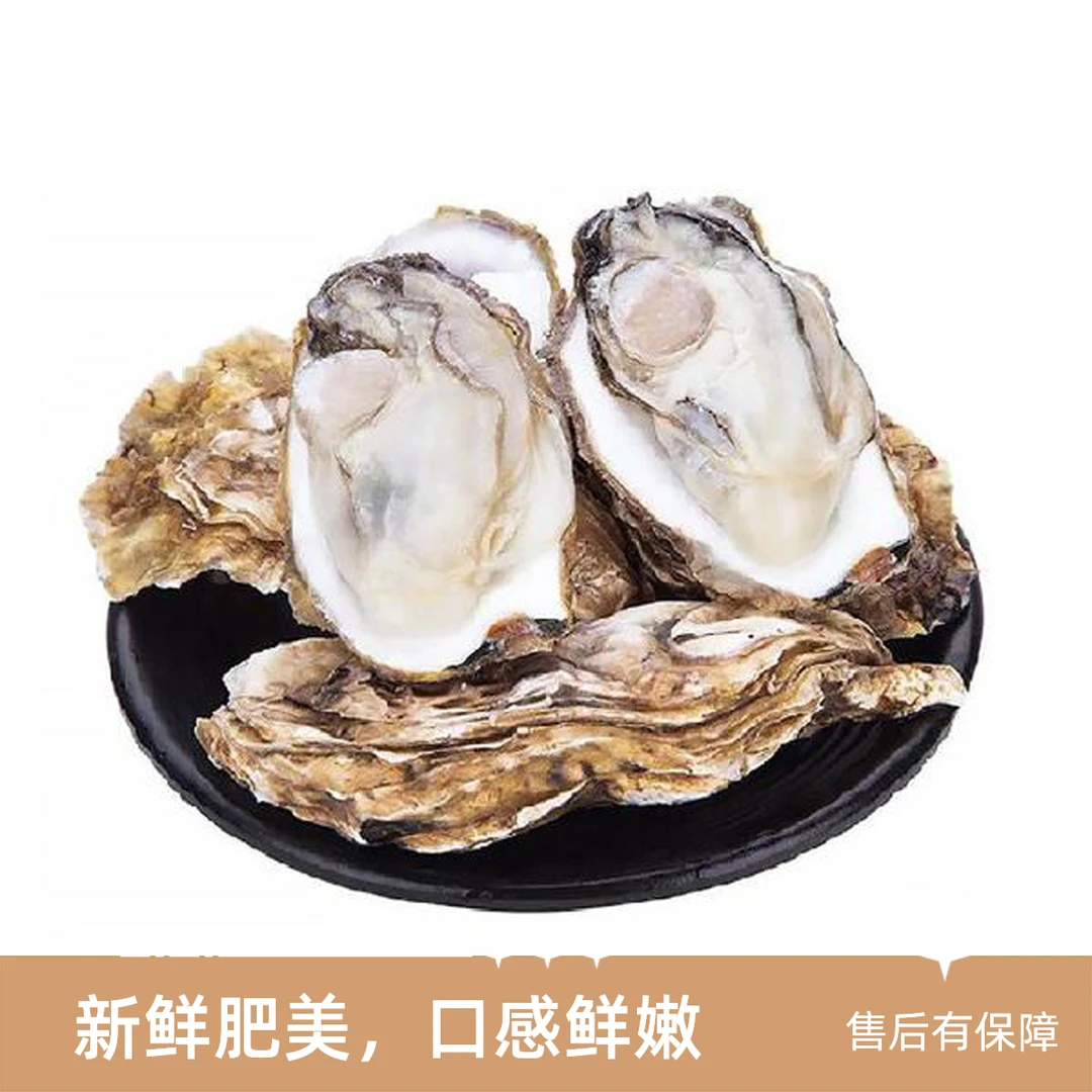 【悦果先生】乳山生蚝（三斤）小时达，同城送