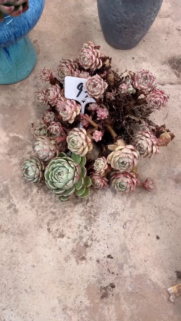 【闪购商品】93号￥20