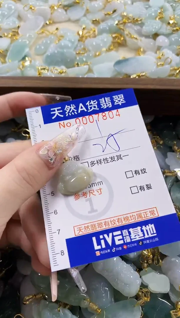 颈饰未镶嵌翡翠天然A货翡翠