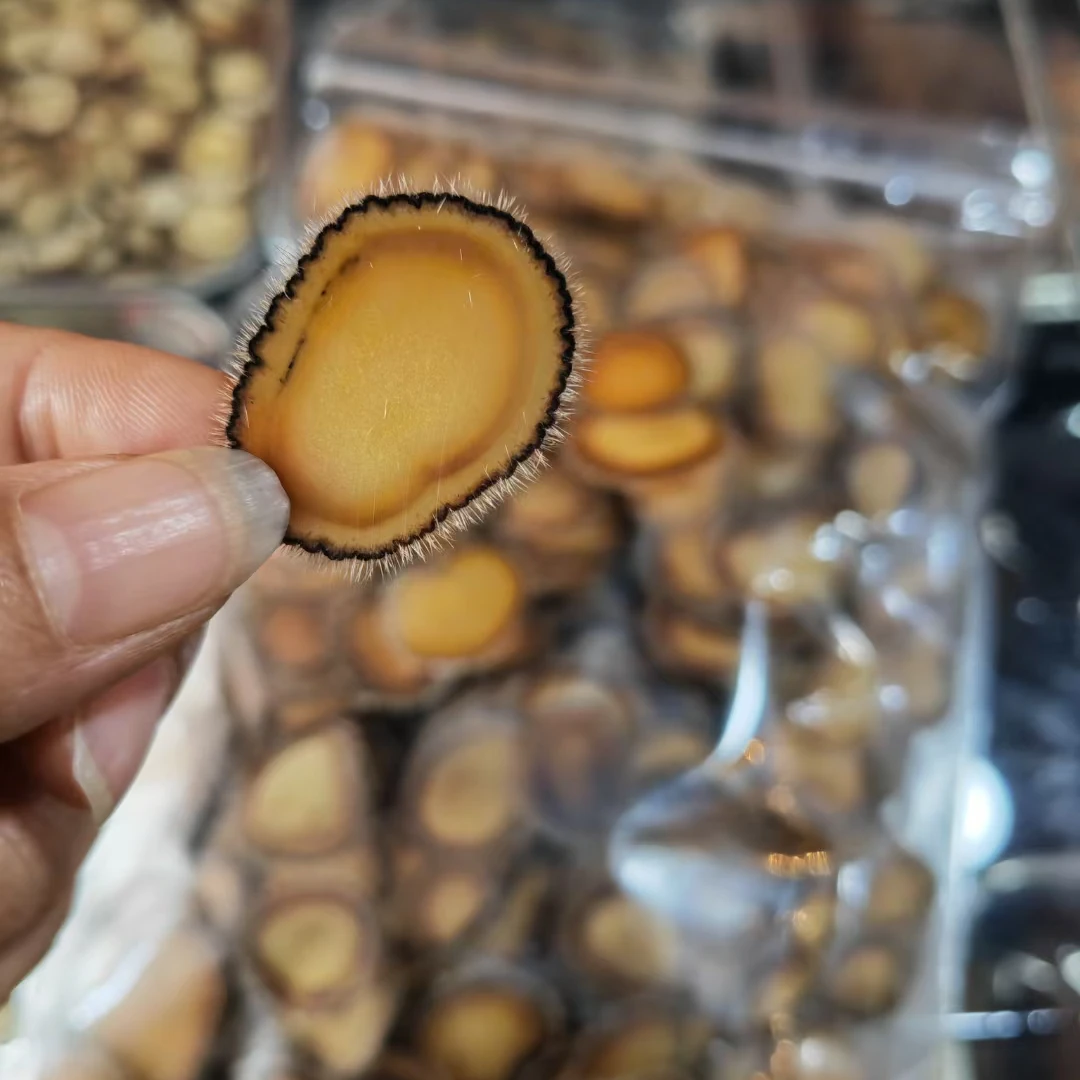 梅花鹿头茬上部全蜡片排血茸保真大片净蜡可煲汤泡水