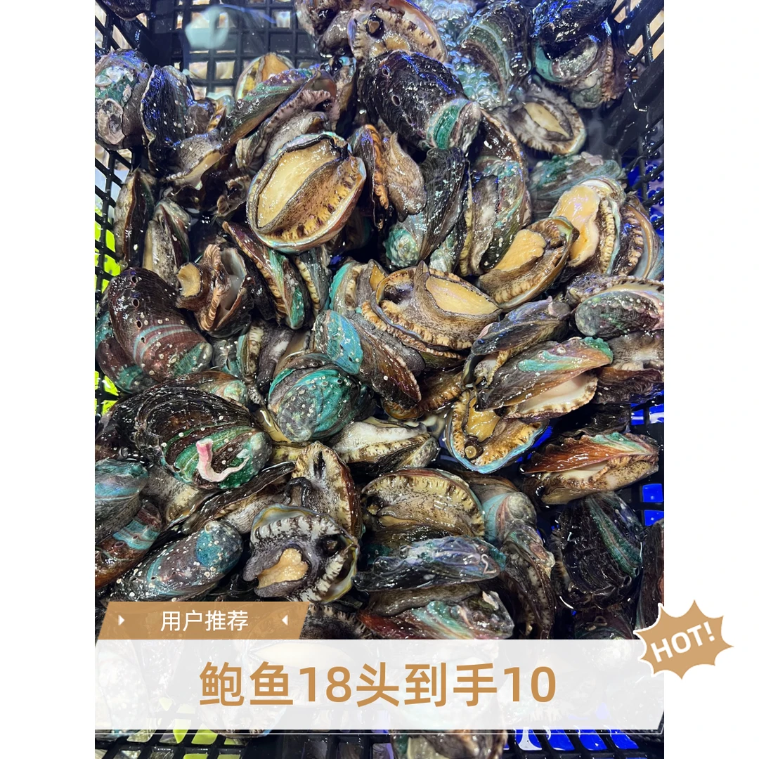 鲍鱼 规格18头左右 28.8到手10个