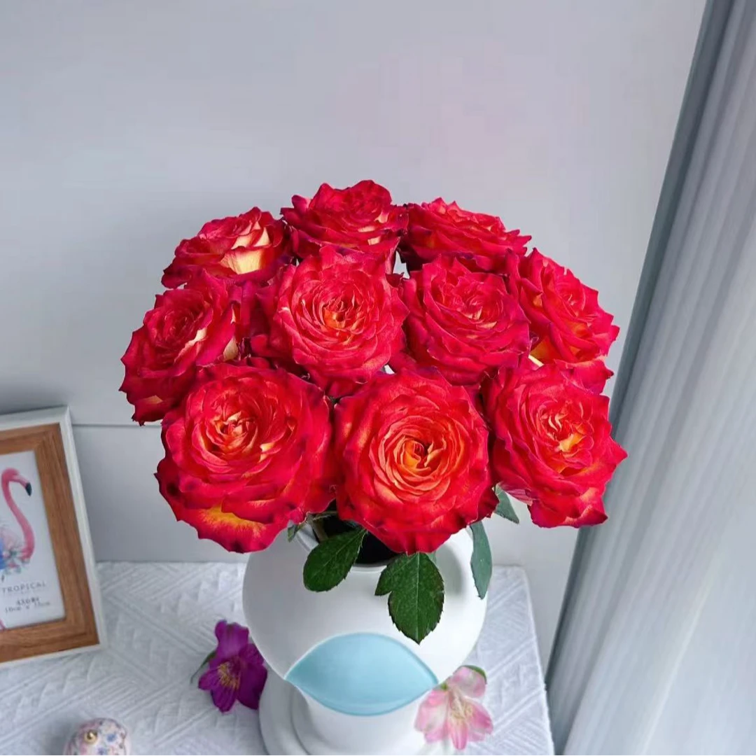 【彩花驿站】狂想曲玫瑰（直播间展示为准/10％损耗无售后介意勿拍）