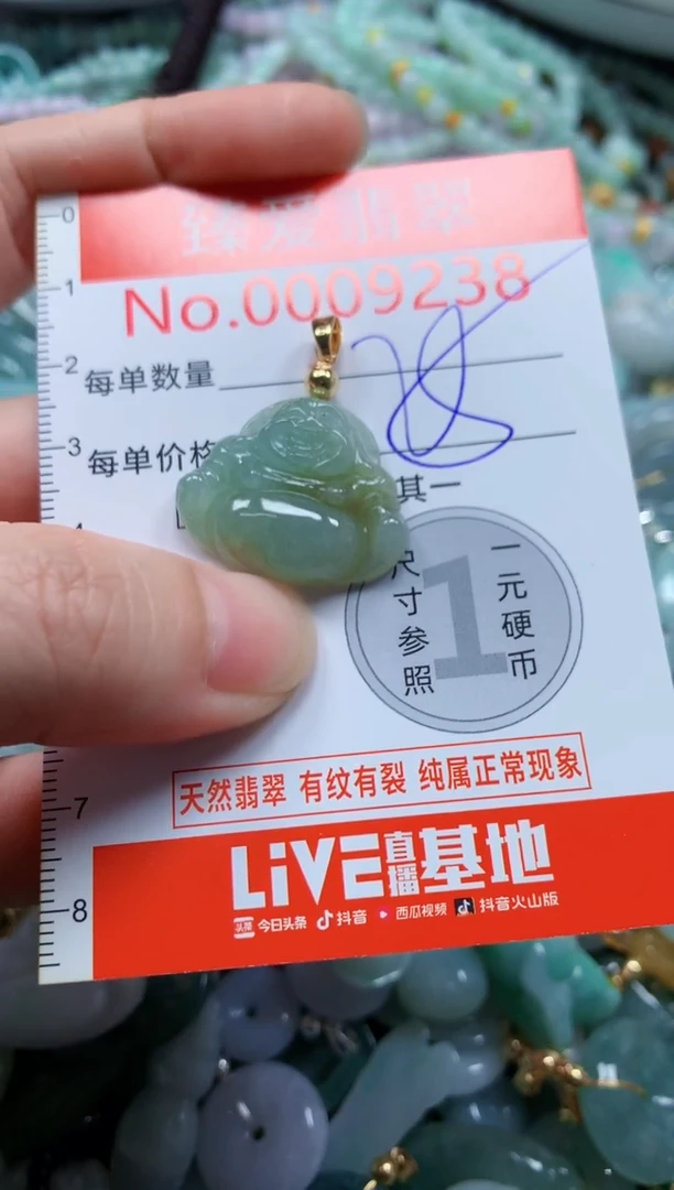 翡翠未镶嵌吊坠(不含链)9238