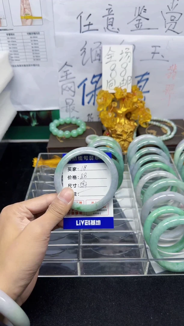 未镶嵌手镯翡翠18