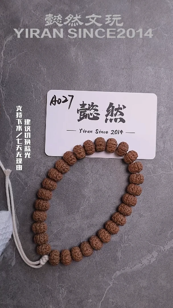 手串金刚菩提纯血老树王单圈