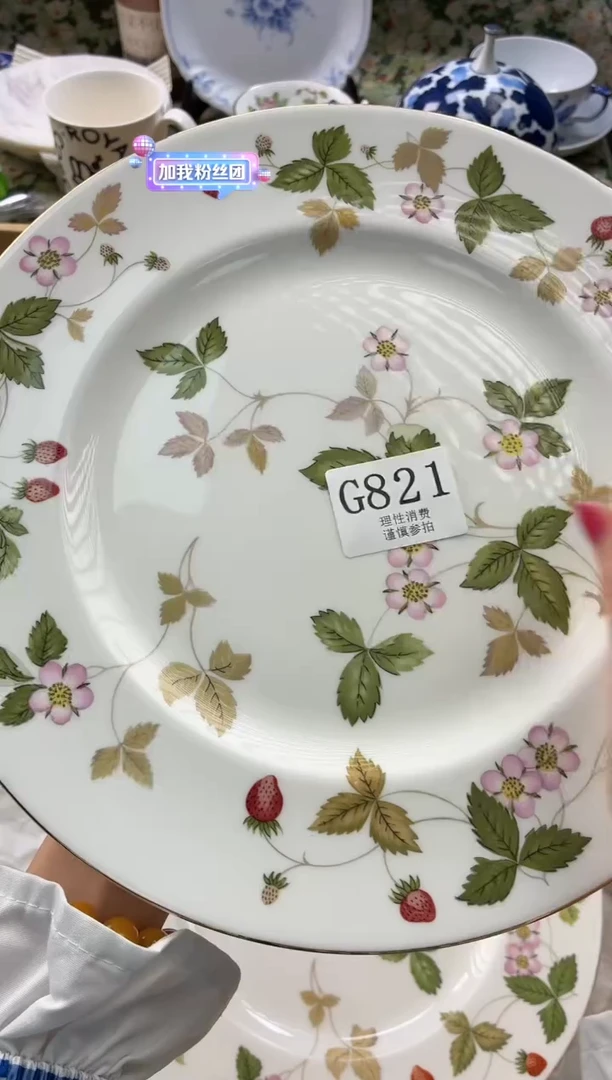 瓷片用****4       G821