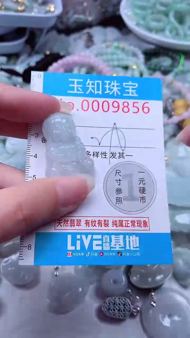 翡翠未镶嵌吊坠(不含链)9856