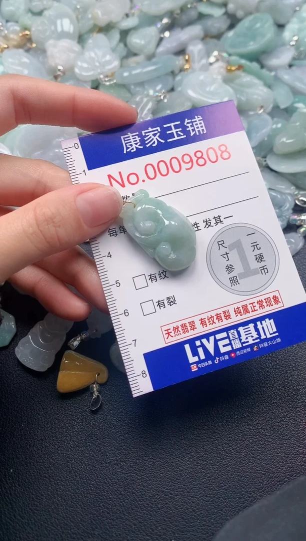 颈饰未镶嵌翡翠9808