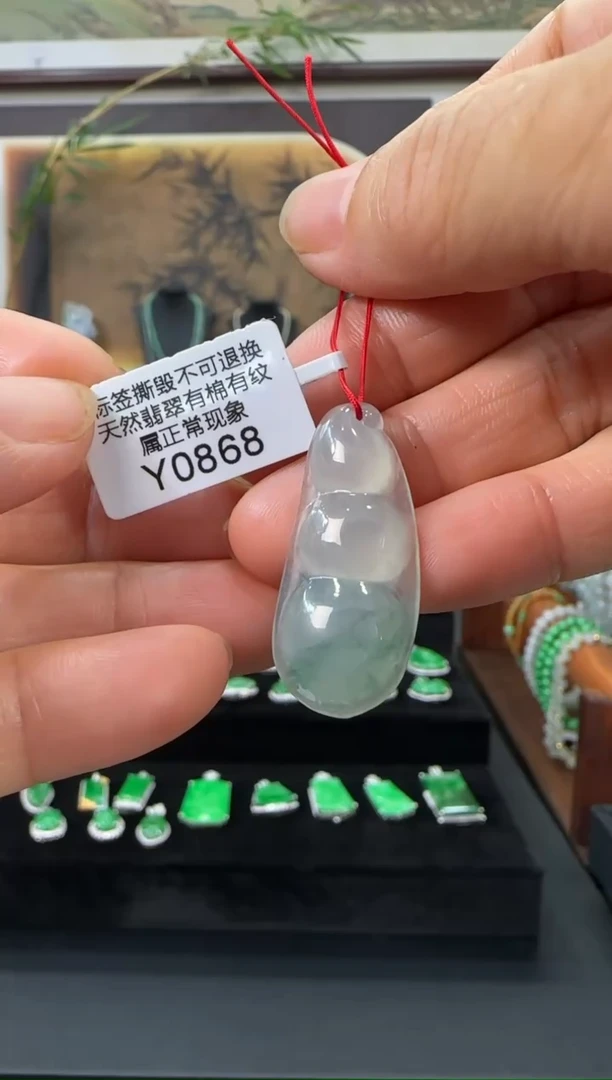 翡翠未镶嵌颈饰Y0868富贵豆 福利价不退换