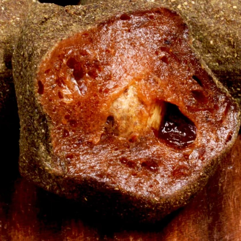 紫苏酸枣粒瓶装湖南特产浏阳零食即食休闲网红零食