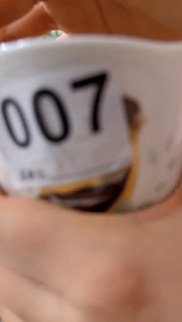 闲*黄鸟盘子瓷****************