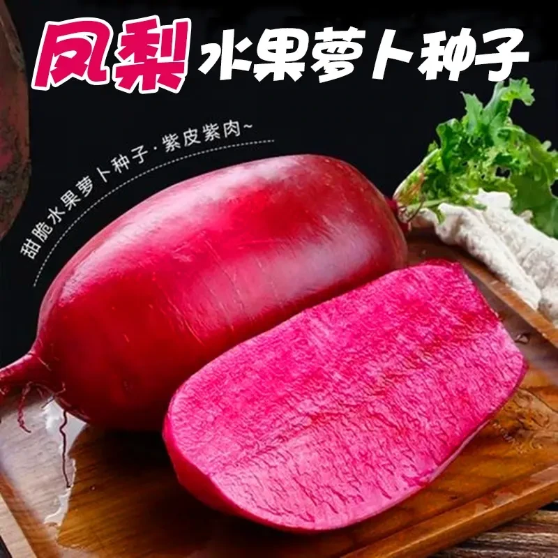 凤梨萝卜种子水果萝卜种籽紫色红心脆甜沙窝萝卜耐热四季蔬菜高产