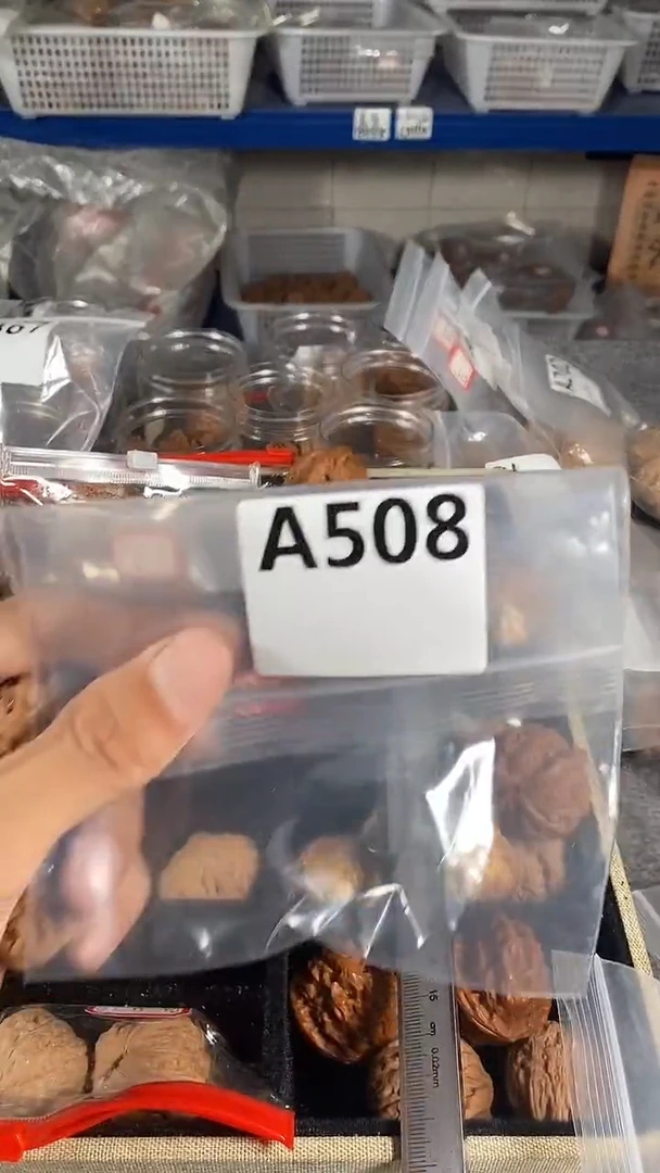 把件文玩核桃38宫灯