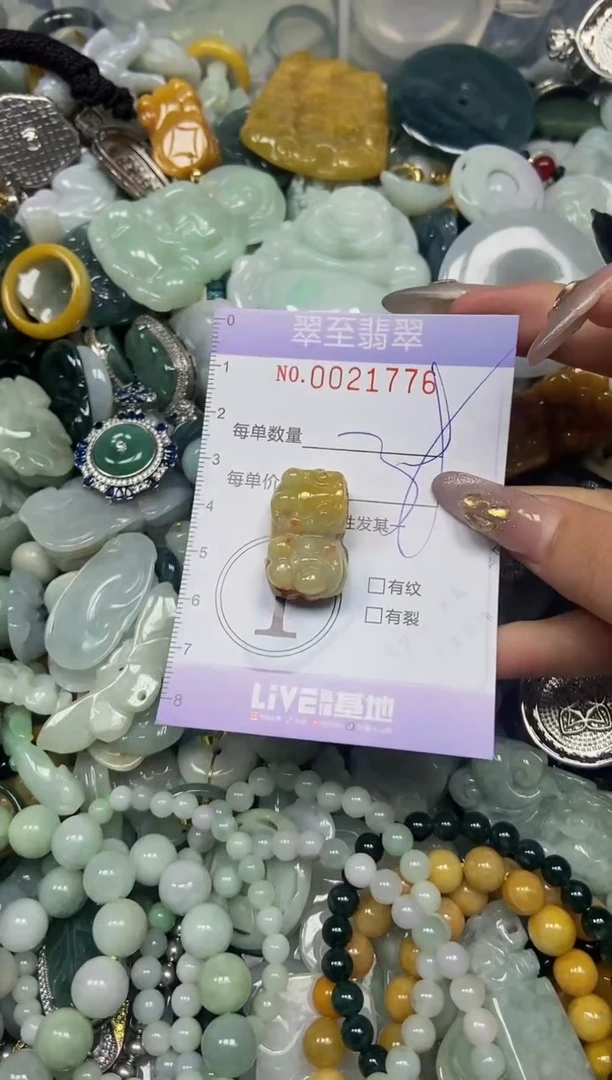 【闪购商品】翡翠颈饰未镶嵌闪购0021776