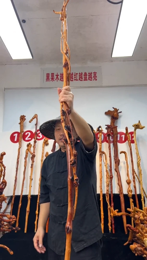 黑果木其他黑果木333