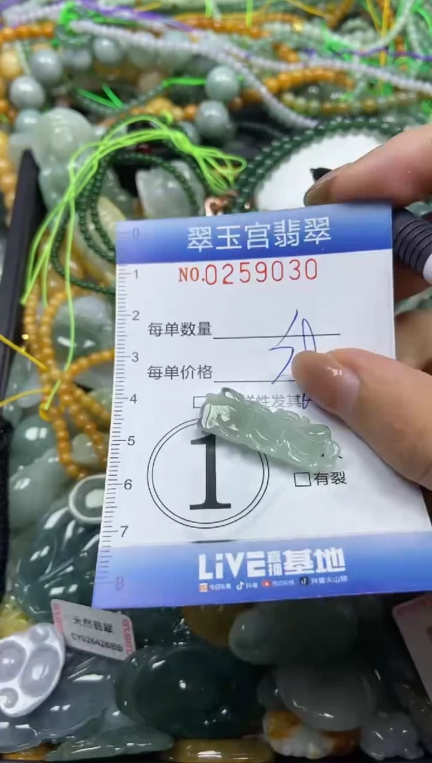 颈饰未镶嵌翡翠闪购C0259030