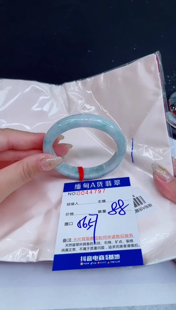 未镶嵌手镯翡翠0131816541