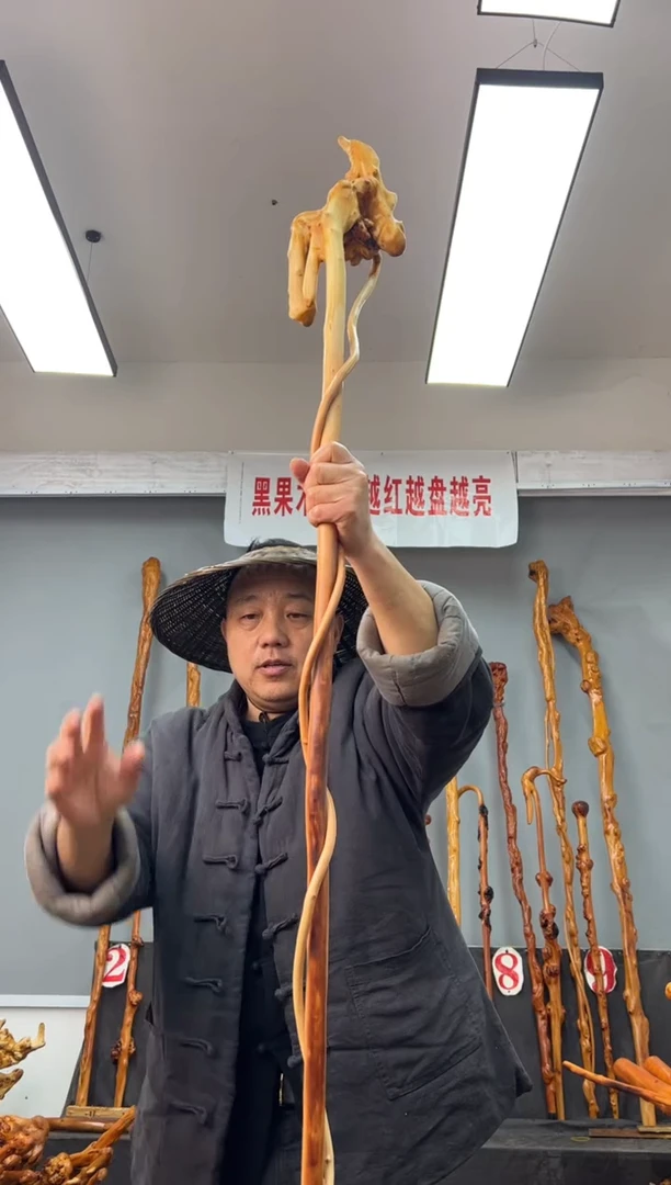 【闪购商品】黑果木其他黑果木314