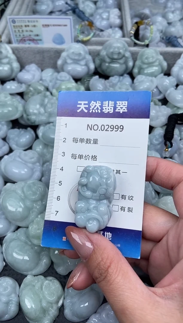 颈饰未镶嵌翡翠纯天然A货翡翠2999