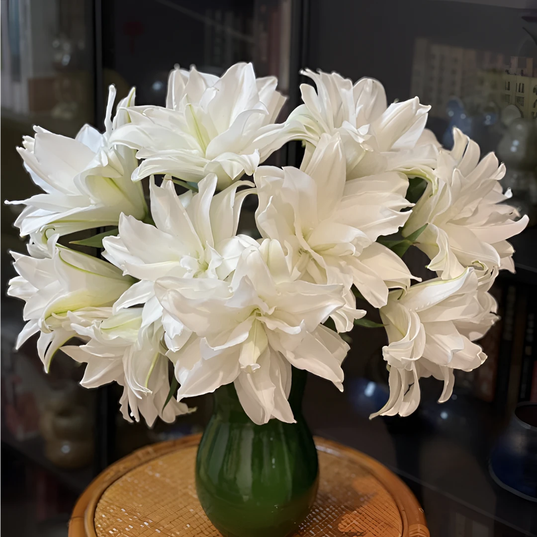 【与花同行】【白雪公主】重瓣百合全场鲜花任意满两单包邮