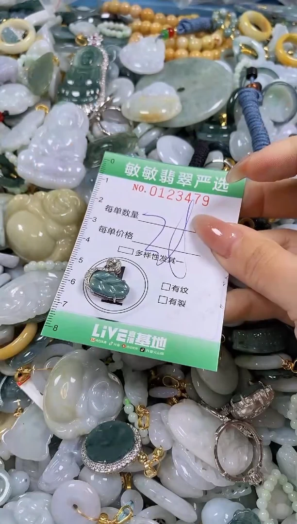 【闪购商品】翡翠颈饰未镶嵌闪购0123479