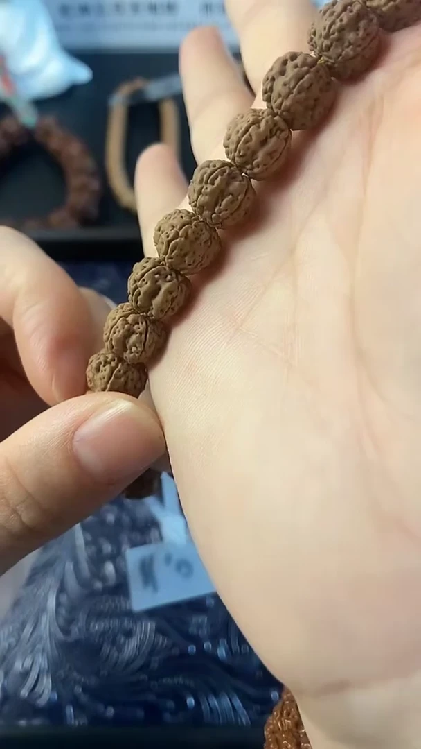 手串金刚菩提花王11