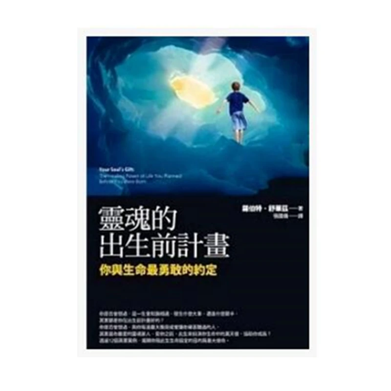 原版正版 繁体繁体字 灵魂的出生前计划 罗伯特 方智 书籍图书