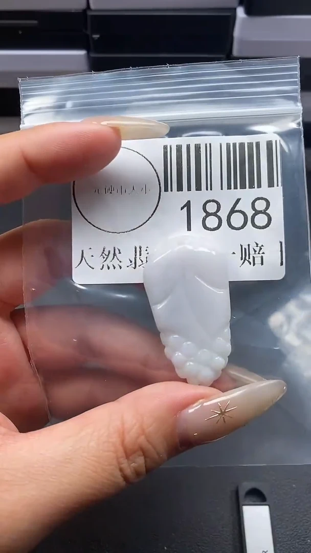 颈饰未镶嵌翡翠1868