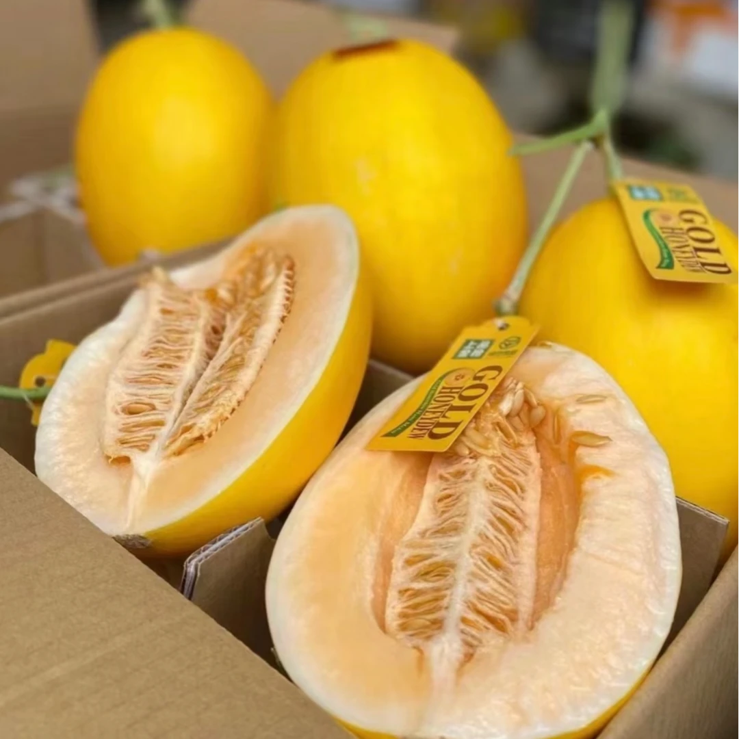 【脆甜蜜瓜-上品美玲】黄金蜜露哈密瓜脆甜多汁应季水果新鲜