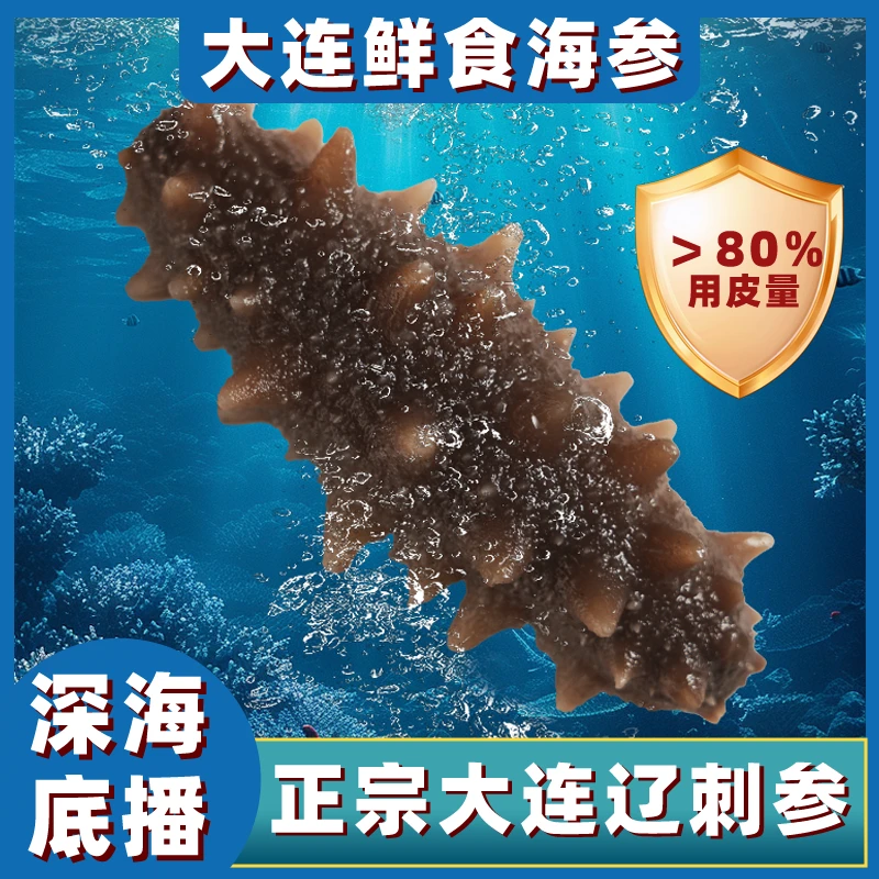 正宗大连鲜食海参1斤6-9头拍三发4共发4斤共30头