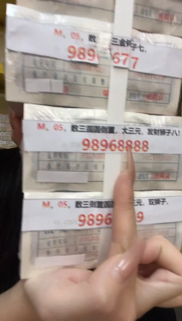 M1，05，数三圆圆倒置，大三元，发财狮子八！98968888