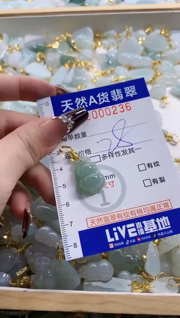 颈饰未镶嵌翡翠天然A货翡翠