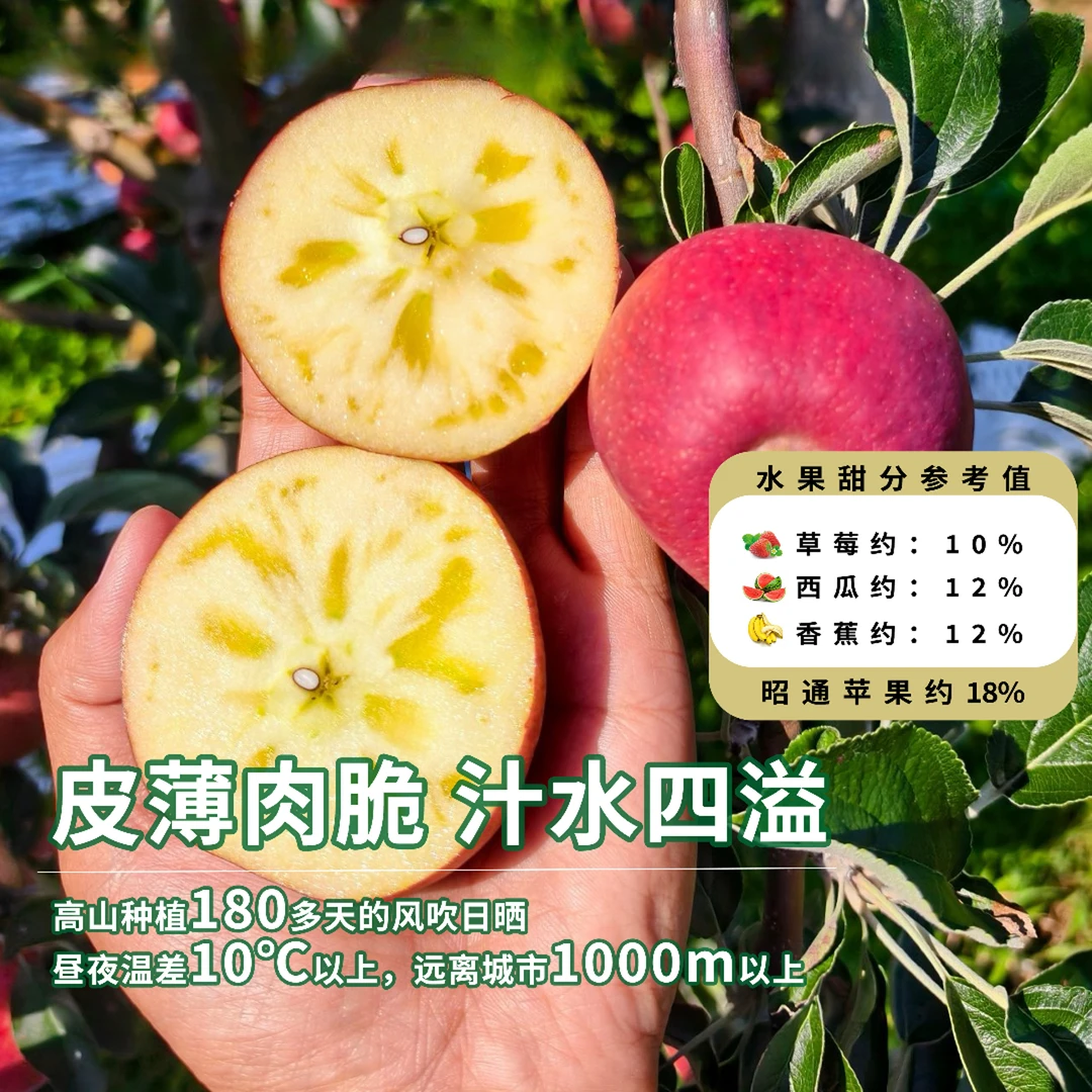 正宗云南昭通冰糖心苹果脆甜多汁新鲜直发现摘水果