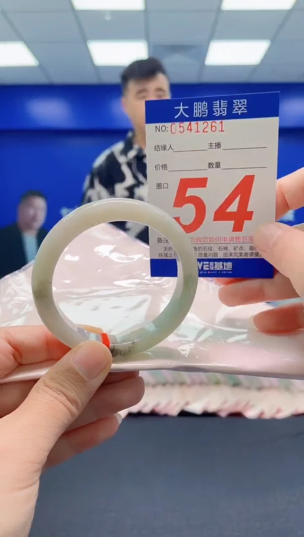 未镶嵌手镯翡翠AAAAAAAAA