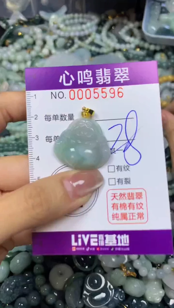 翡翠未镶嵌颈饰闪购005596