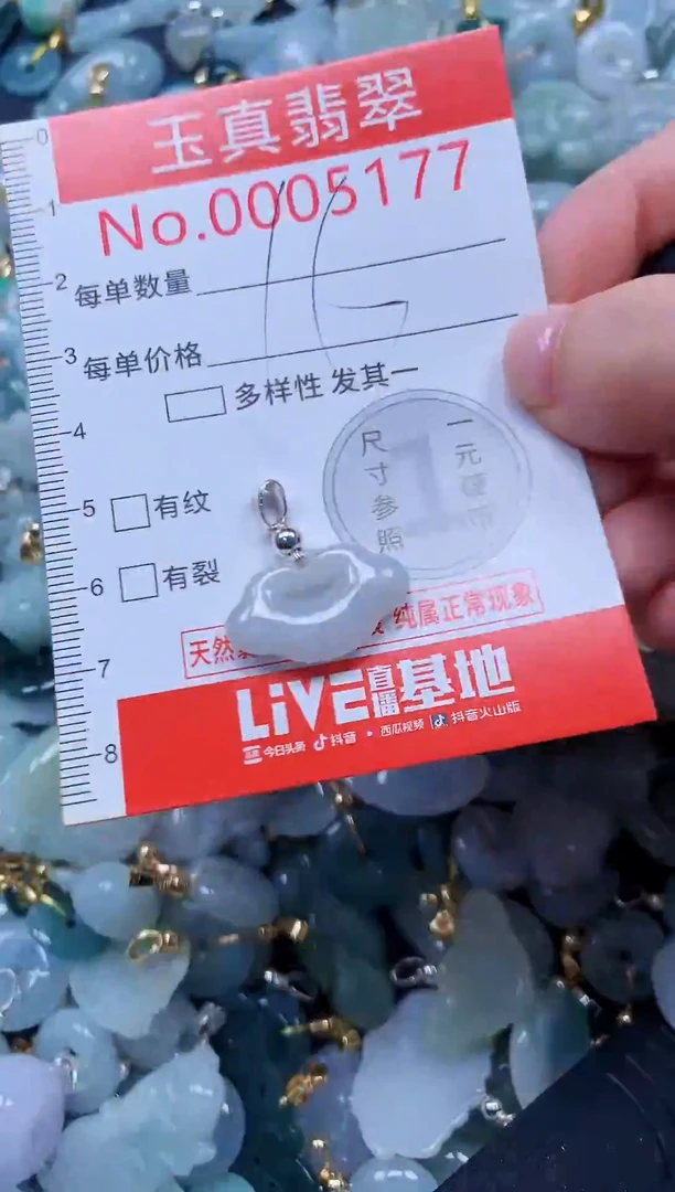 翡翠未镶嵌吊坠(不含链)5177