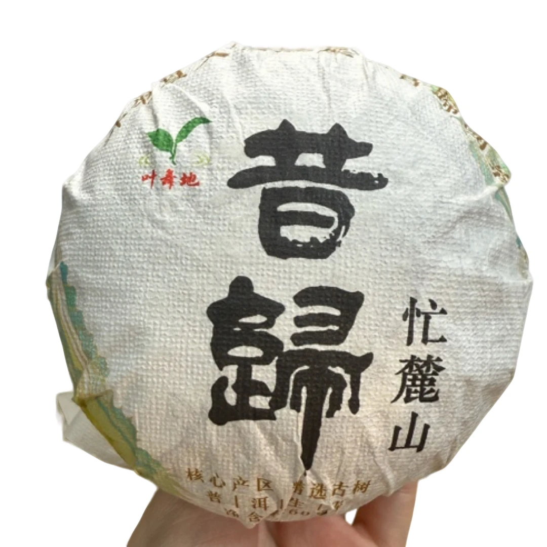 *2024年【昔归12号.春.古树】普洱（生茶）沱茶260克-12月18日【06】