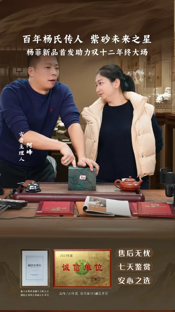 宜兴紫砂壶00000999