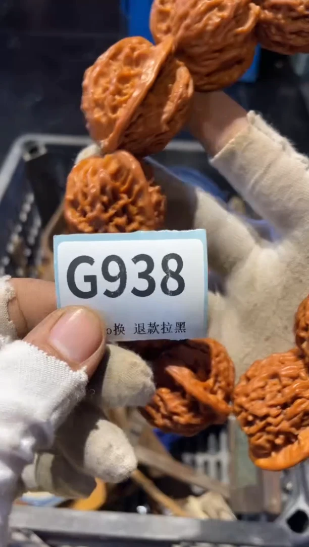 瓷片艺**辉表弟直播链接火爆