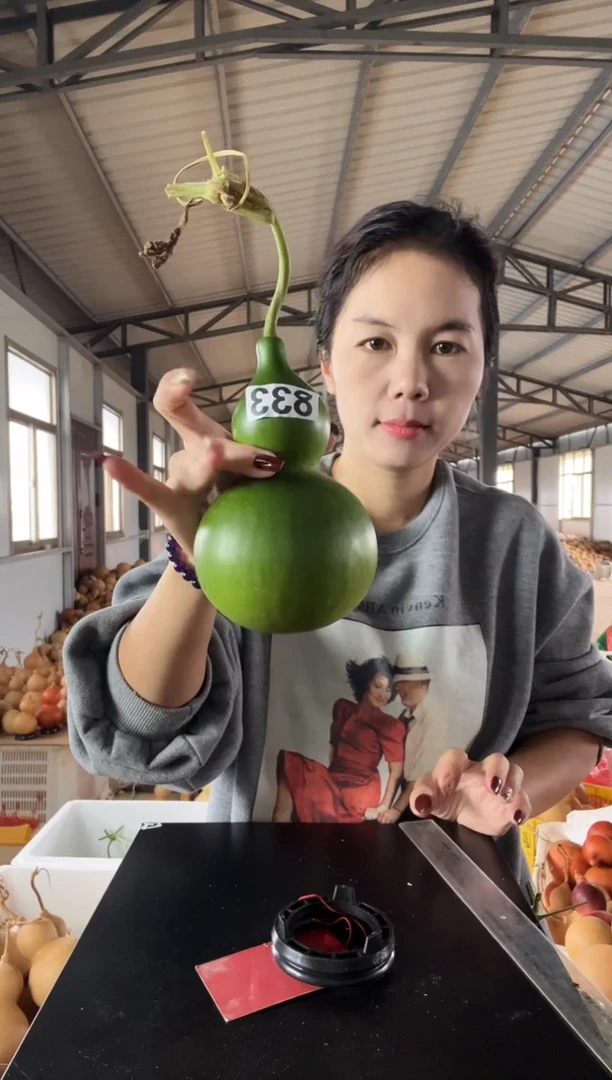 葫芦M****g833天然葫芦摆件 一物一拍龙头不保售后
